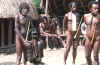 papua4.jpg (45860 bytes)